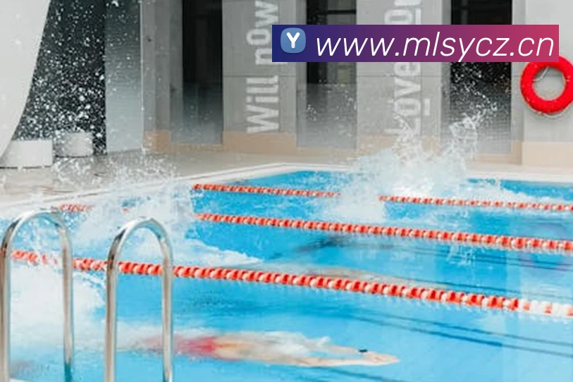 mksports在线登录入口全站App